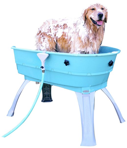 The 10 Most Ridiculously Extravagant Dog Products